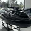 WhatsApp Image 2026-06-09 at 14.14.27 SEA-DOO RXT-X RS 300